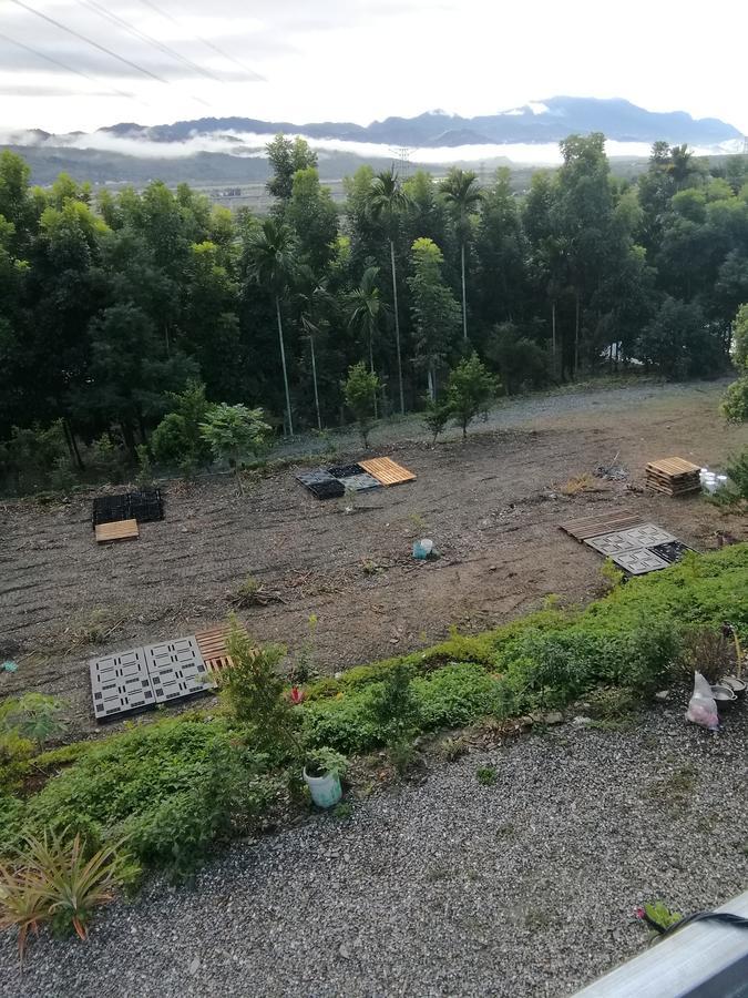 台東民宿 關山桃花心木民宿農場 กวนซาน ภายนอก รูปภาพ