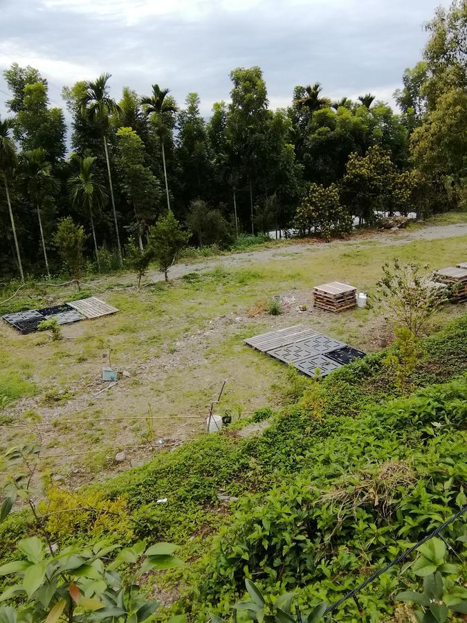 台東民宿 關山桃花心木民宿農場 กวนซาน ภายนอก รูปภาพ